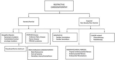 Pediatric Restrictive Cardiomyopathies